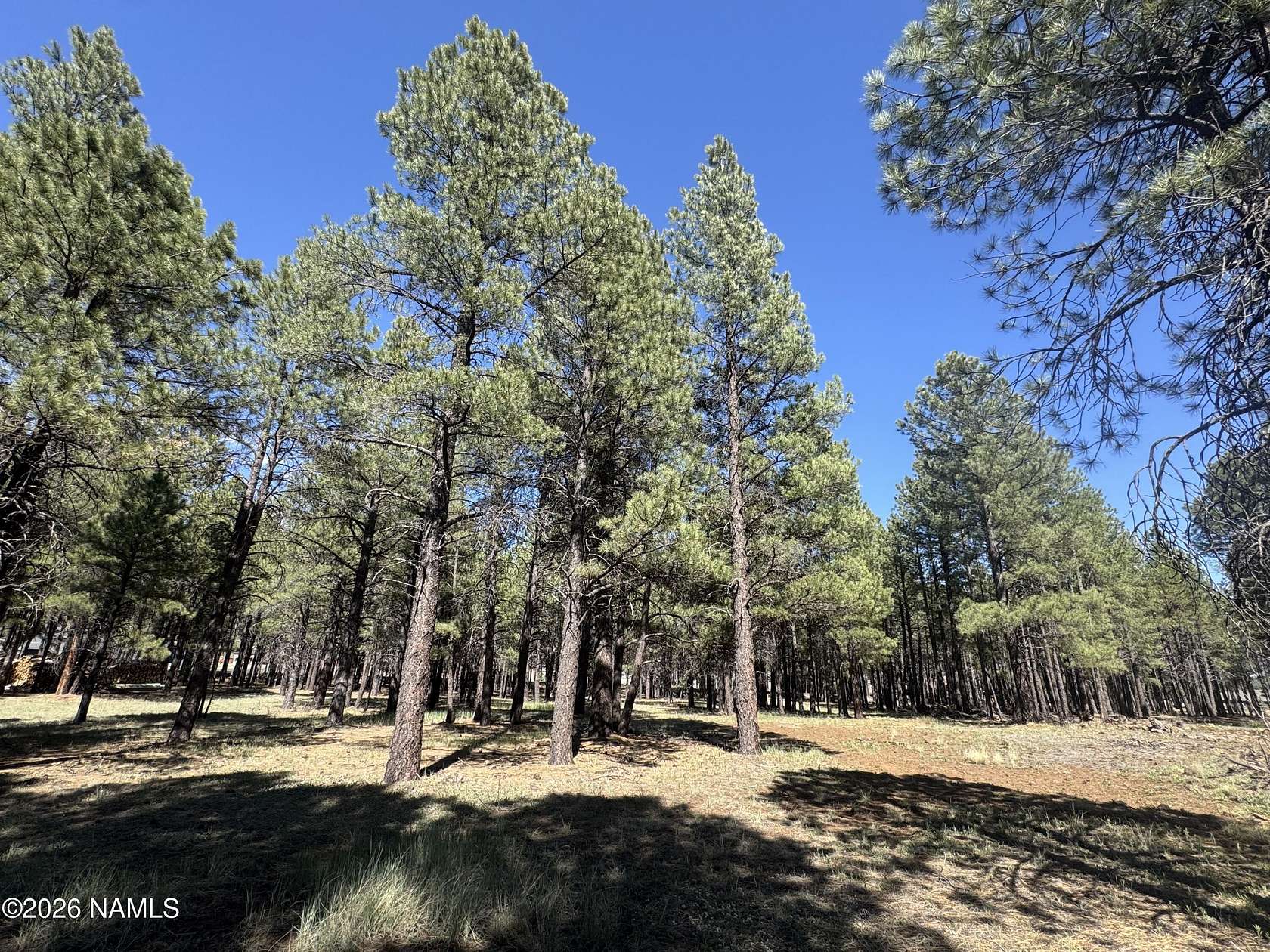 2 Acres of Residential Land for Sale in Flagstaff, Arizona