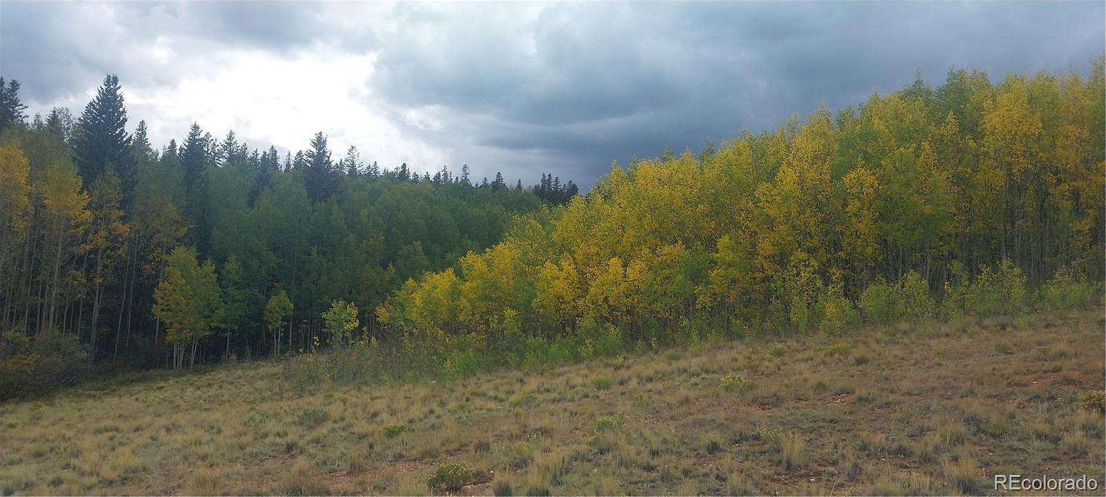 6 Acres of Land for Sale in Fairplay, Colorado