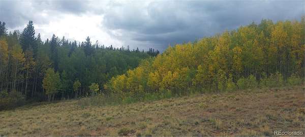 6 Acres of Land for Sale in Fairplay, Colorado