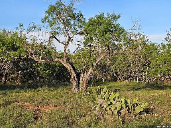 10.3 Acres of Recreational & Residential Land for Sale in Kingsbury, Texas