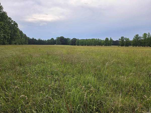 5 Acres of Residential Land for Sale in Paragould, Arkansas