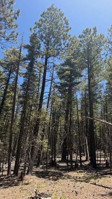 43.9 Acres of Recreational & Residential Land for Sale in Pecos, New Mexico
