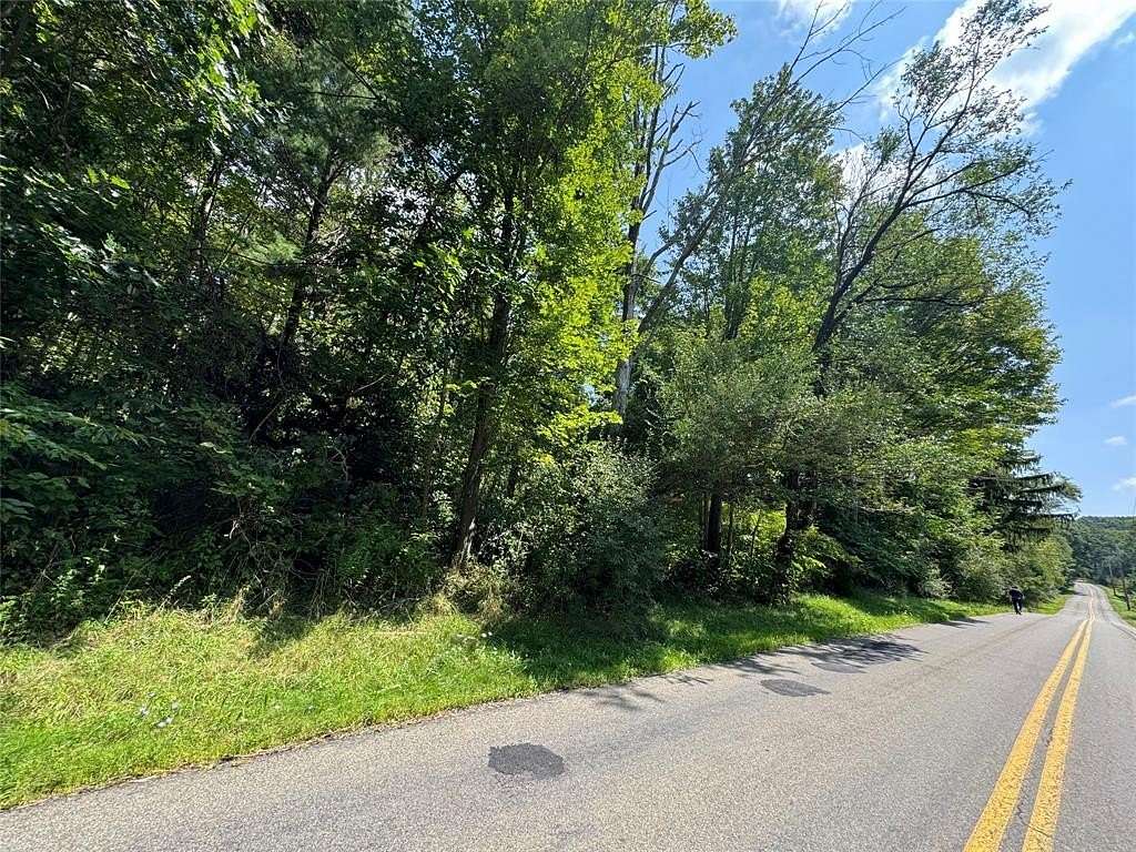 20 Acres of Recreational & Residential Land for Sale in Vestal, New York