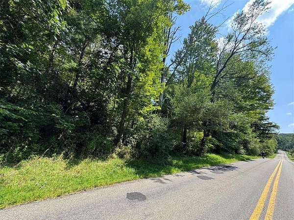 20 Acres of Recreational & Residential Land for Sale in Vestal, New York