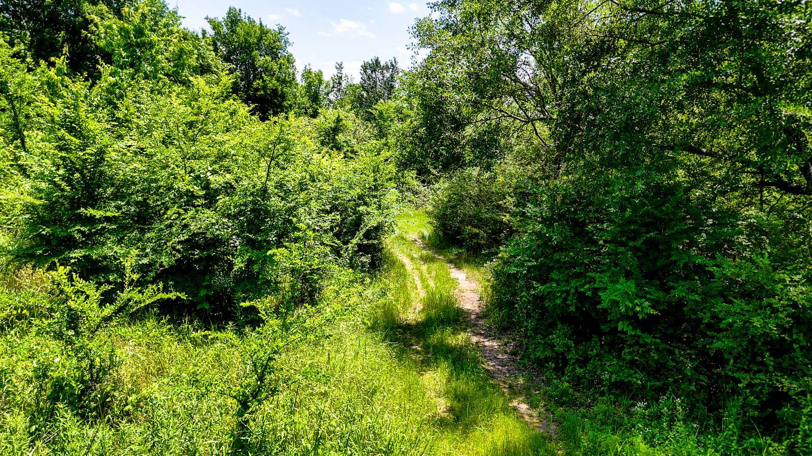 3.5 Acres of Residential Land for Sale in Glover, Oklahoma