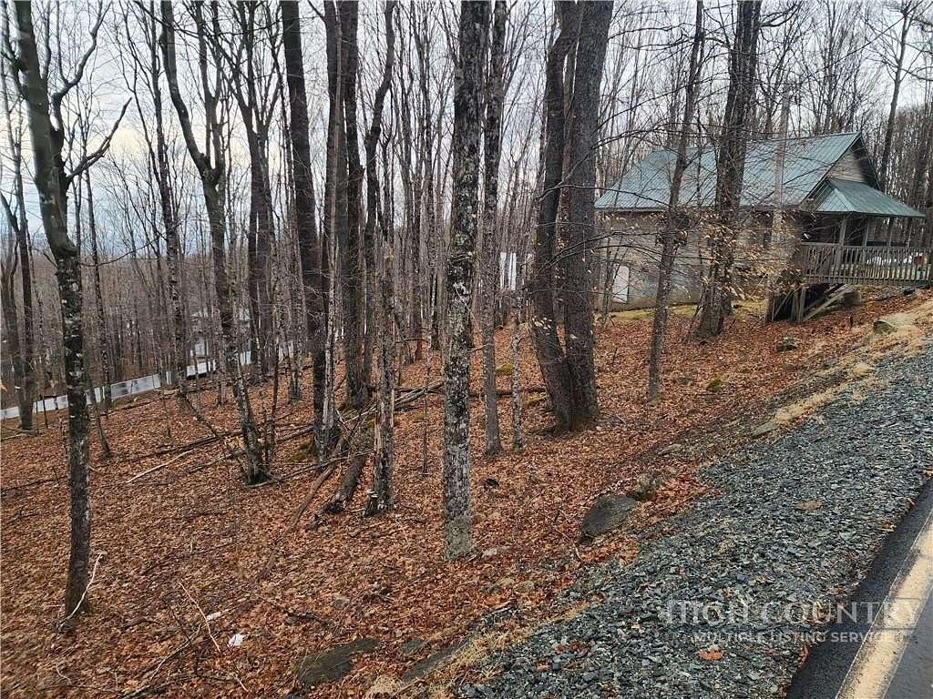 0.14 Acres of Land for Sale in Beech Mountain, North Carolina
