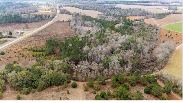 20.2 Acres of Land for Sale in Columbia, Alabama