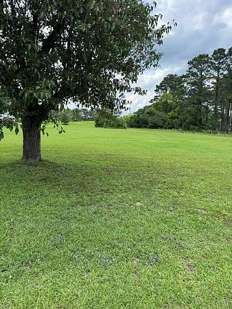 Residential Land for Sale in Eufaula, Alabama