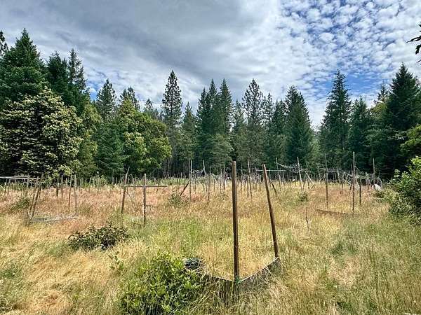 29.7 Acres of Recreational Land for Sale in Happy Camp, California