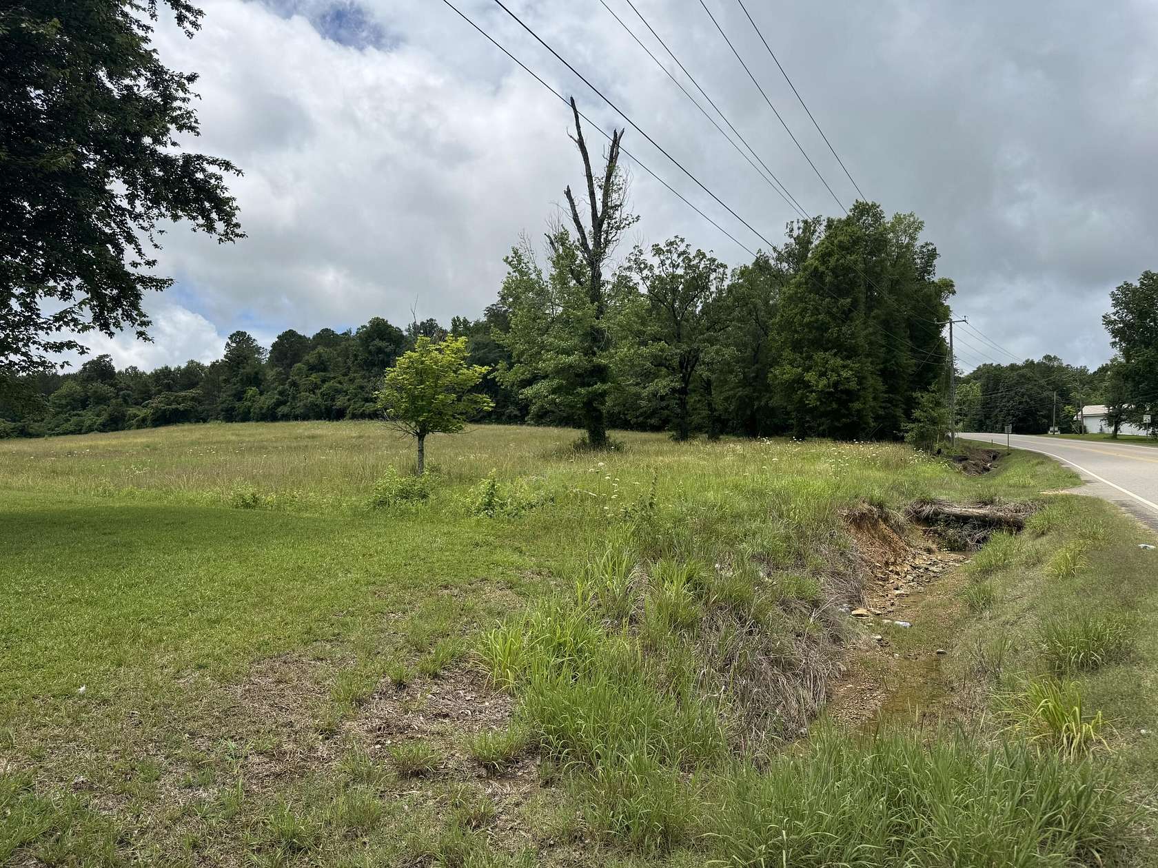 Land for Sale in Berry, Alabama