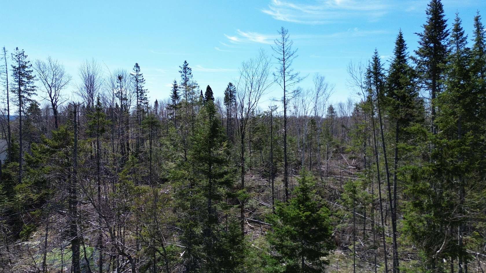 5.5 Acres of Residential Land for Sale in Hammond Town, Maine