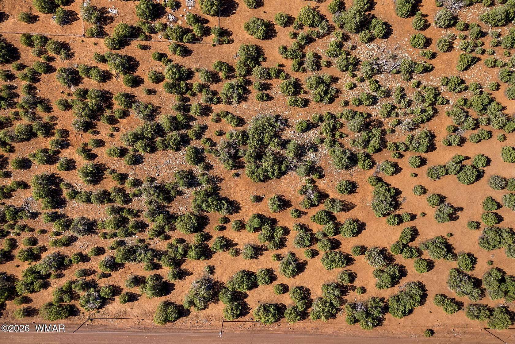 4.16 Acres of Residential Land for Sale in Concho, Arizona