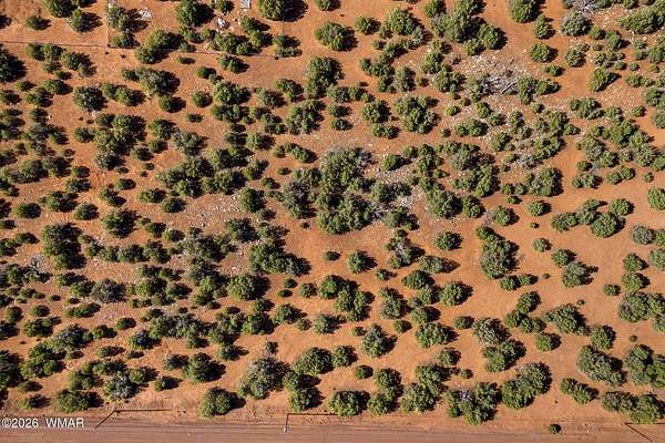 4.16 Acres of Residential Land for Sale in Concho, Arizona