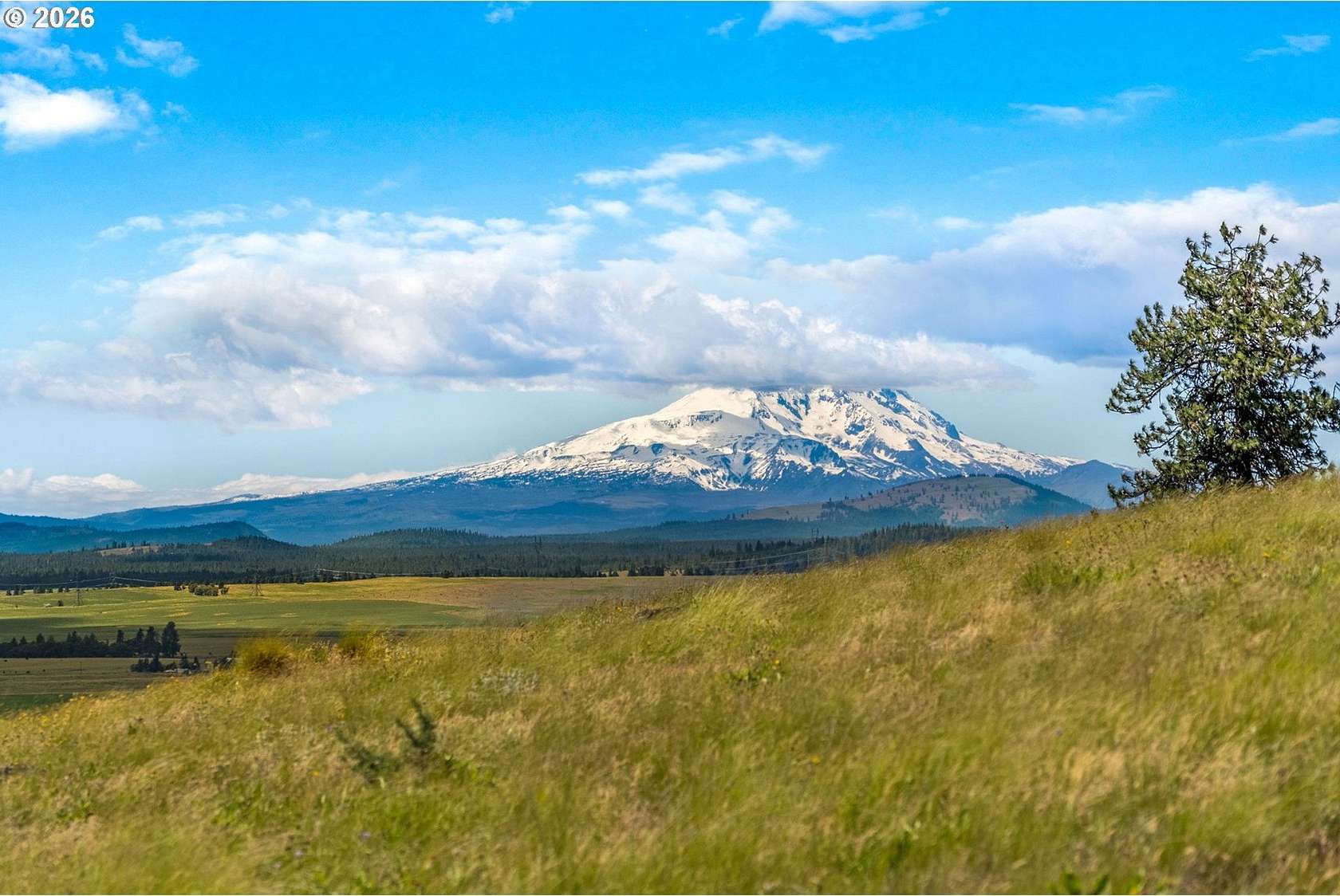 2.62 Acres of Residential Land for Sale in Goldendale, Washington