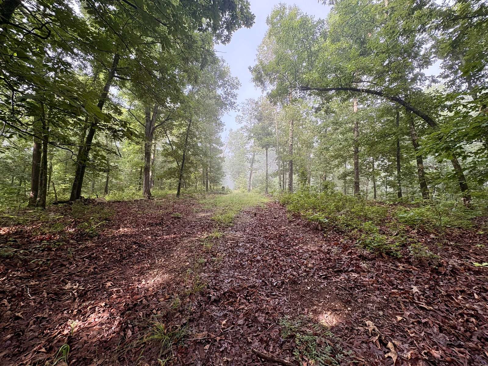45.2 Acres of Recreational Land for Sale in Ravenden Springs, Arkansas