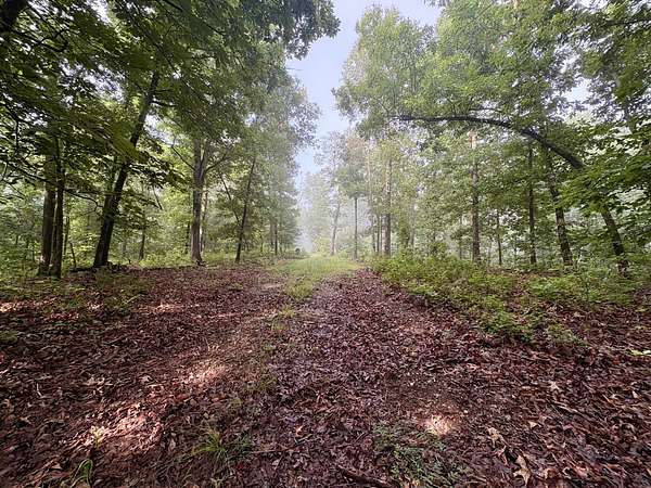 45.2 Acres of Recreational Land for Sale in Ravenden Springs, Arkansas