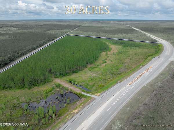 30.2 Acres of Land for Sale in Waycross, Georgia