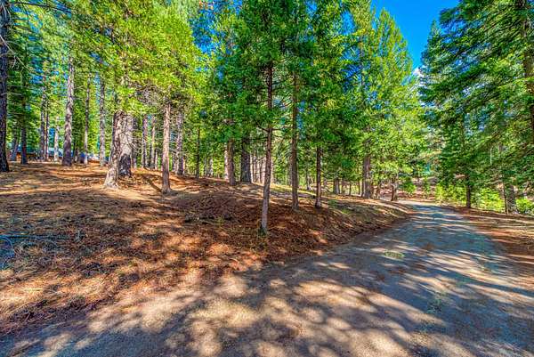 2.53 Acres of Residential Land for Sale in Clio, California