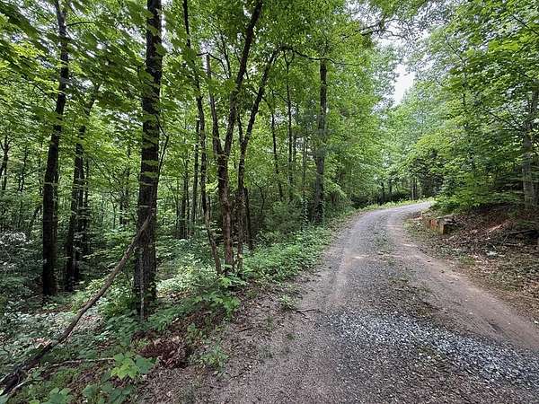 2.83 Acres of Residential Land for Sale in Hiawassee, Georgia