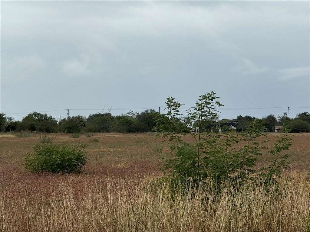 0.31 Acres of Land for Sale in Alice, Texas
