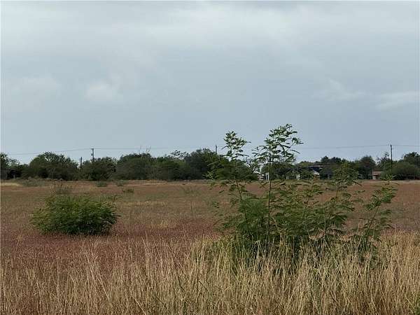0.31 Acres of Land for Sale in Alice, Texas