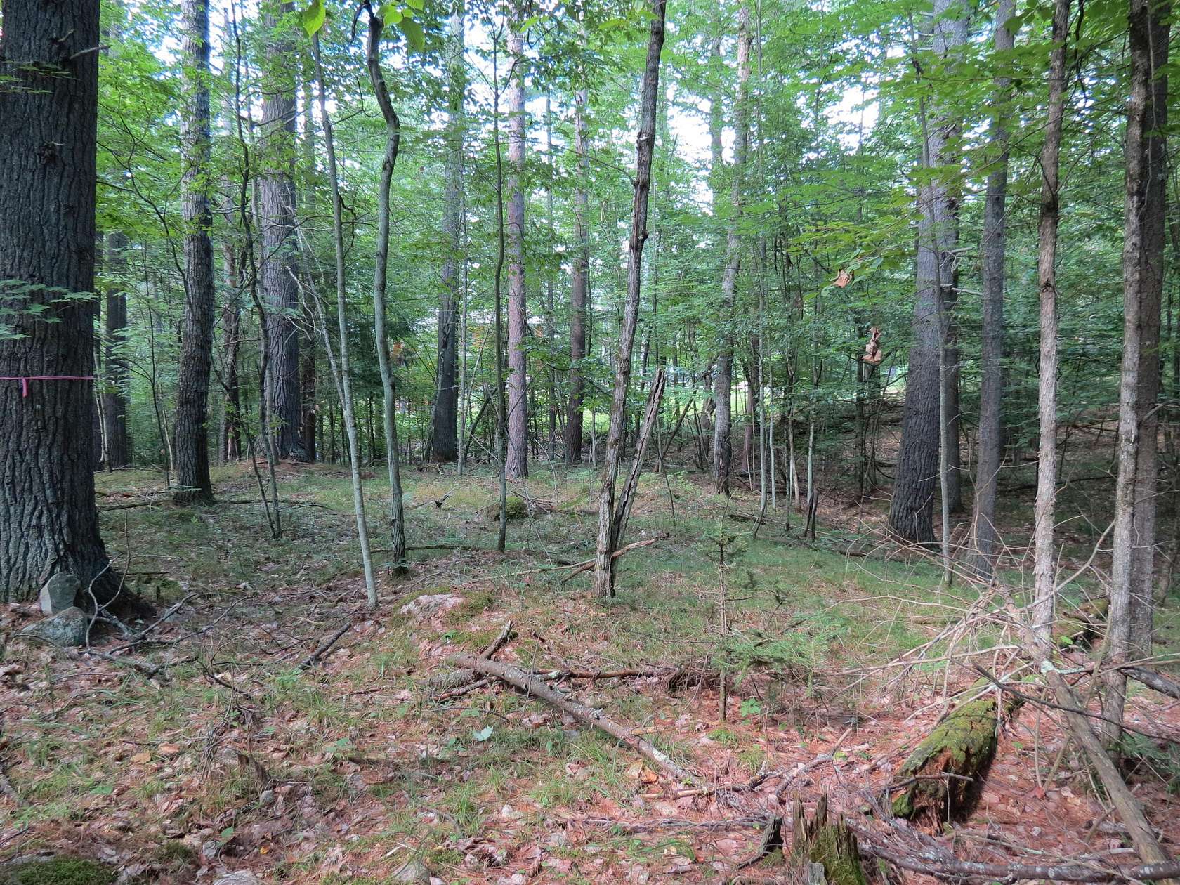 1 Acre of Residential Land for Sale in Jay, New York