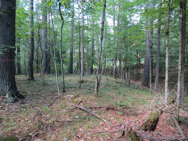1 Acre of Residential Land for Sale in Jay, New York