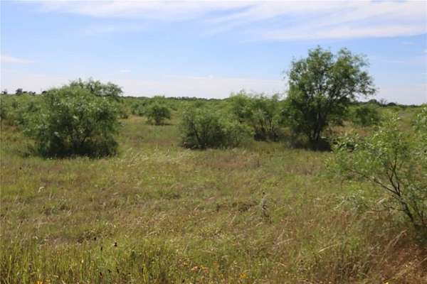 43 Acres of Land for Sale in Rising Star, Texas