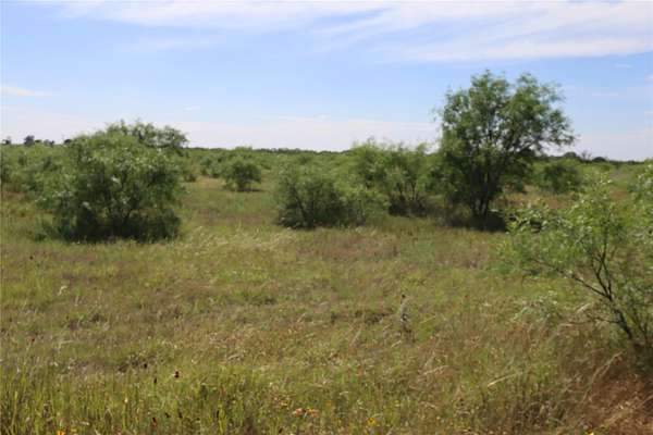 43 Acres of Land for Sale in Rising Star, Texas