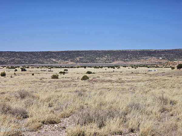 1 Acre of Residential Land for Sale in St. Johns, Arizona