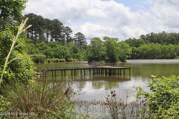 156 Acres of Land for Sale in Brandon, Mississippi
