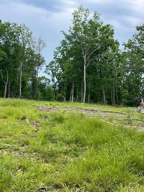 5 Acres of Residential Land for Sale in Fredericktown, Missouri