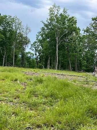 5 Acres of Residential Land for Sale in Fredericktown, Missouri