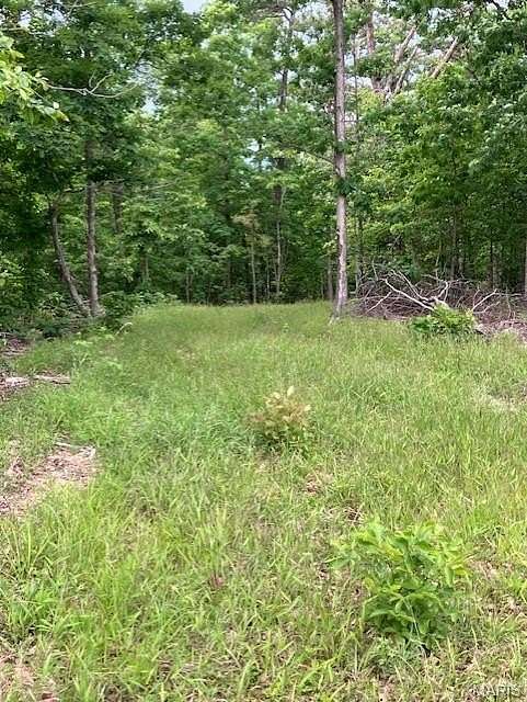 10 Acres of Land for Sale in Fredericktown, Missouri