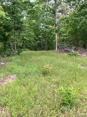 10 Acres of Land for Sale in Fredericktown, Missouri
