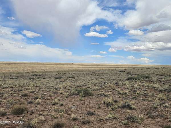 1.25 Acres of Residential Land for Sale in Sun Valley, Arizona