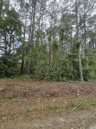 1.1 Acres of Residential Land for Sale in Cottageville, South Carolina