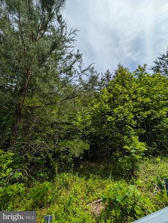 3.68 Acres of Residential Land for Sale in Stafford, Virginia