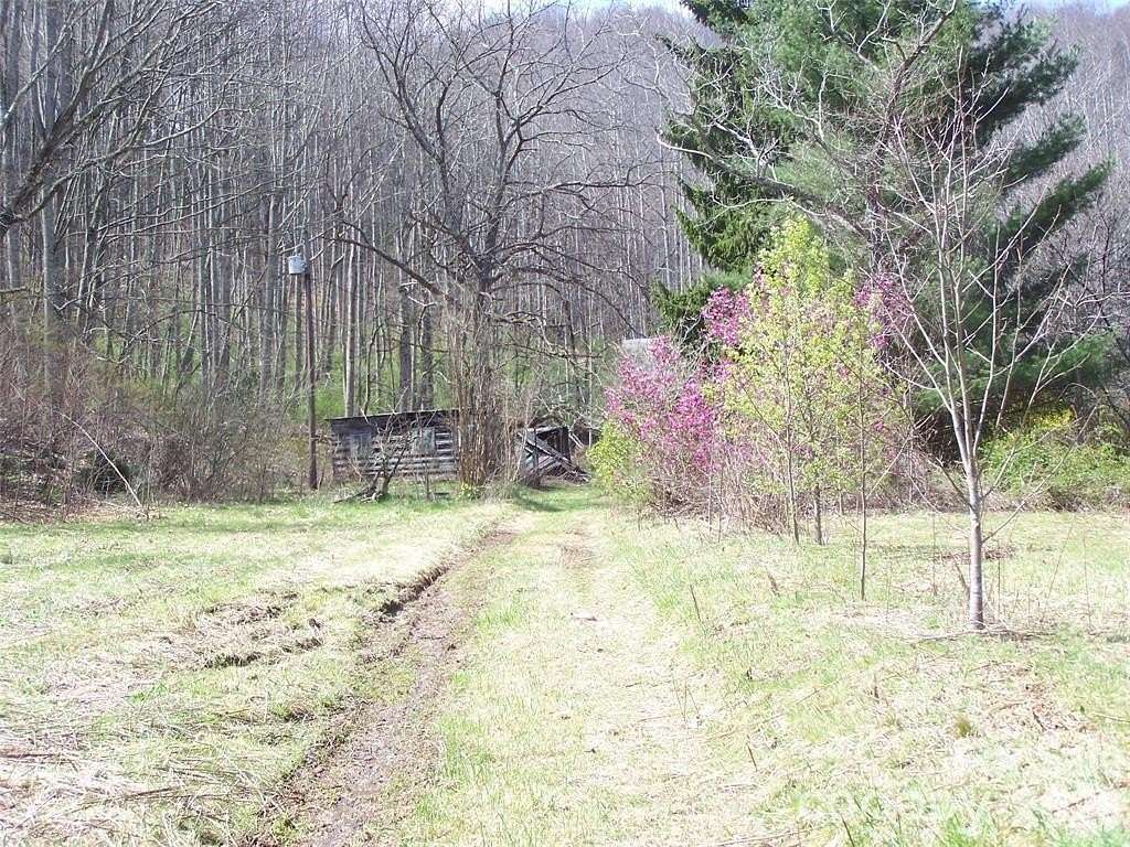 39.6 Acres of Recreational Land for Sale in Waynesville, North Carolina