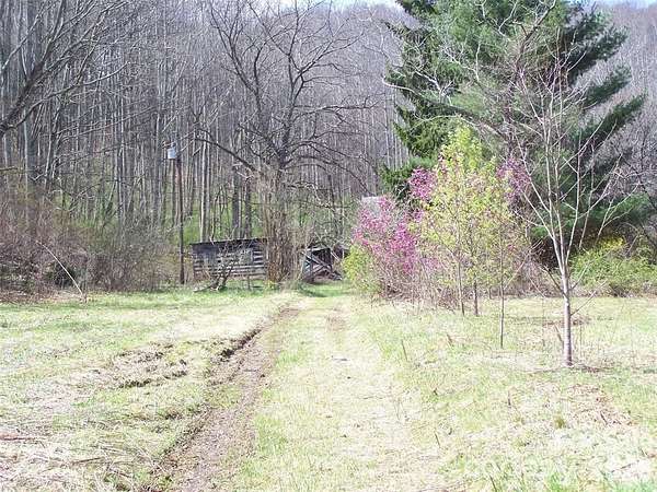 39.6 Acres of Recreational Land for Sale in Waynesville, North Carolina