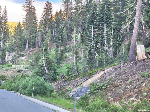 0.38 Acres of Residential Land for Sale in Kirkwood, California