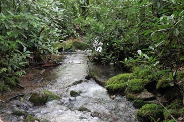 5.49 Acres of Land for Sale in Nantahala, North Carolina