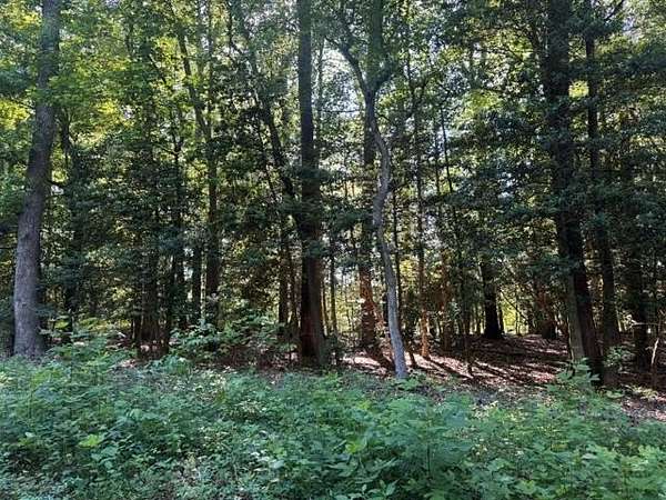 0.64 Acres of Land for Sale in Heathsville, Virginia