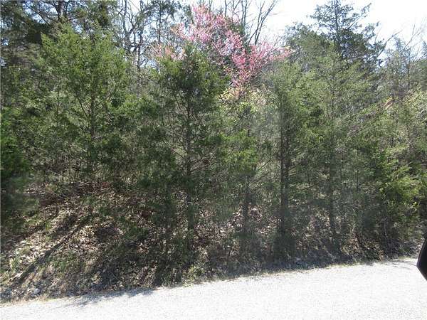 0.36 Acres of Land for Sale in Holiday Island, Arkansas