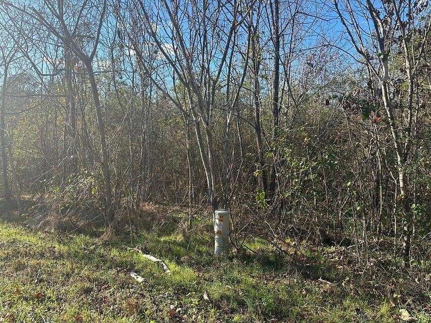 95 Acres of Recreational & Residential Land for Sale in Decatur, Tennessee