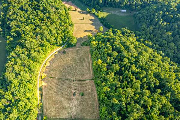 15.6 Acres of Land for Sale in Pulaski, Tennessee