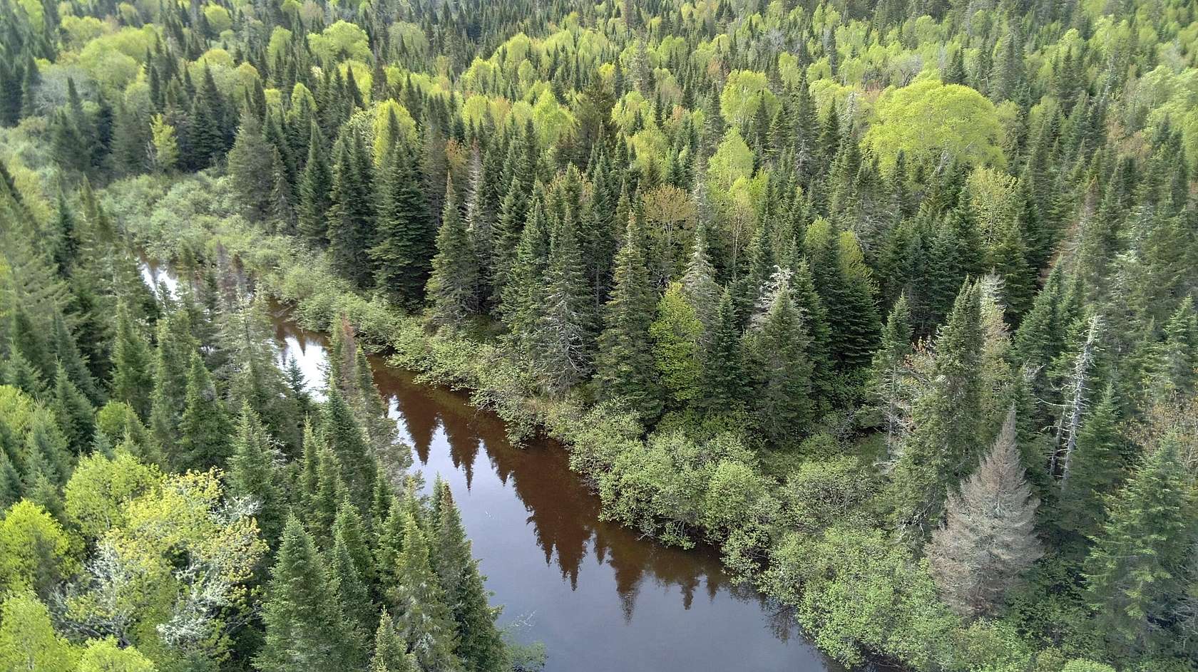 550 Acres of Recreational Land for Sale in Upton, Maine