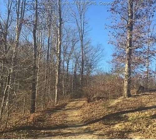 49.7 Acres of Recreational & Residential Land for Sale in Alkol, West Virginia