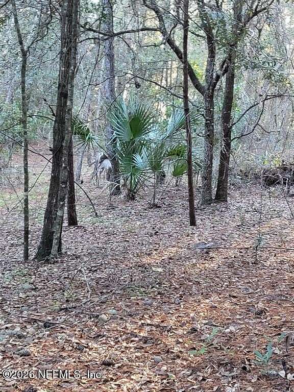 2.23 Acres of Residential Land for Sale in Crescent City, Florida