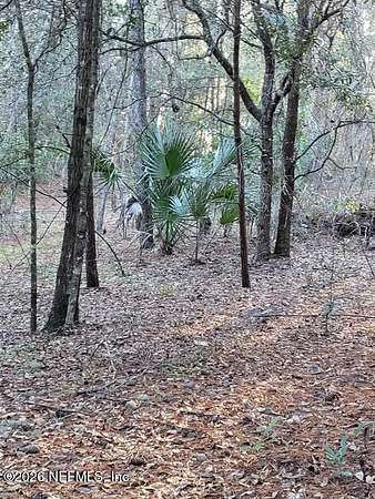 2.23 Acres of Residential Land for Sale in Crescent City, Florida